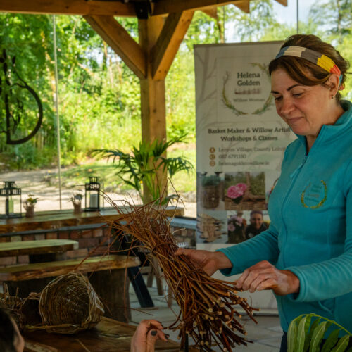 the willow woman basketmaking workshop friday 20th february 10am 1pm